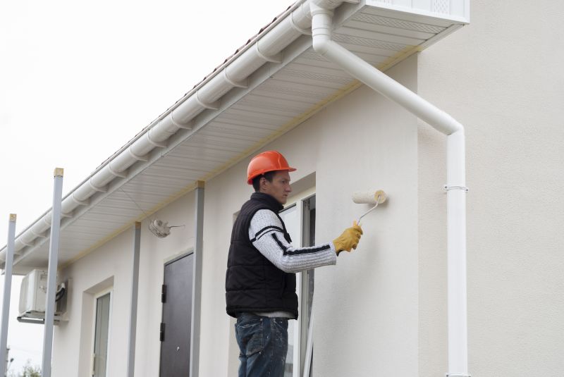 Cladding Painting in Longmont, CO