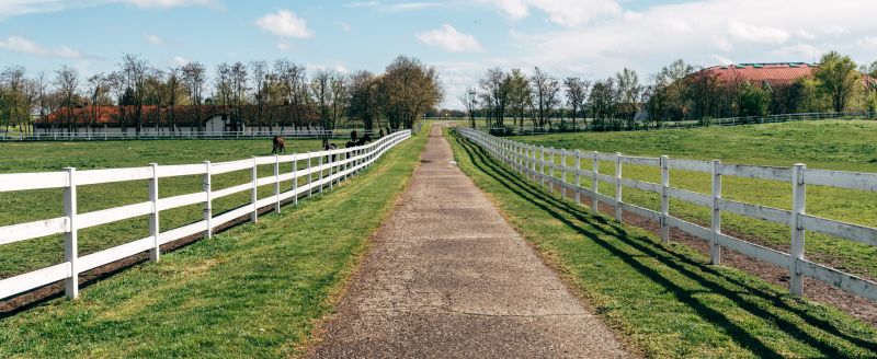 Livestock Fence Painting in Waco, TX